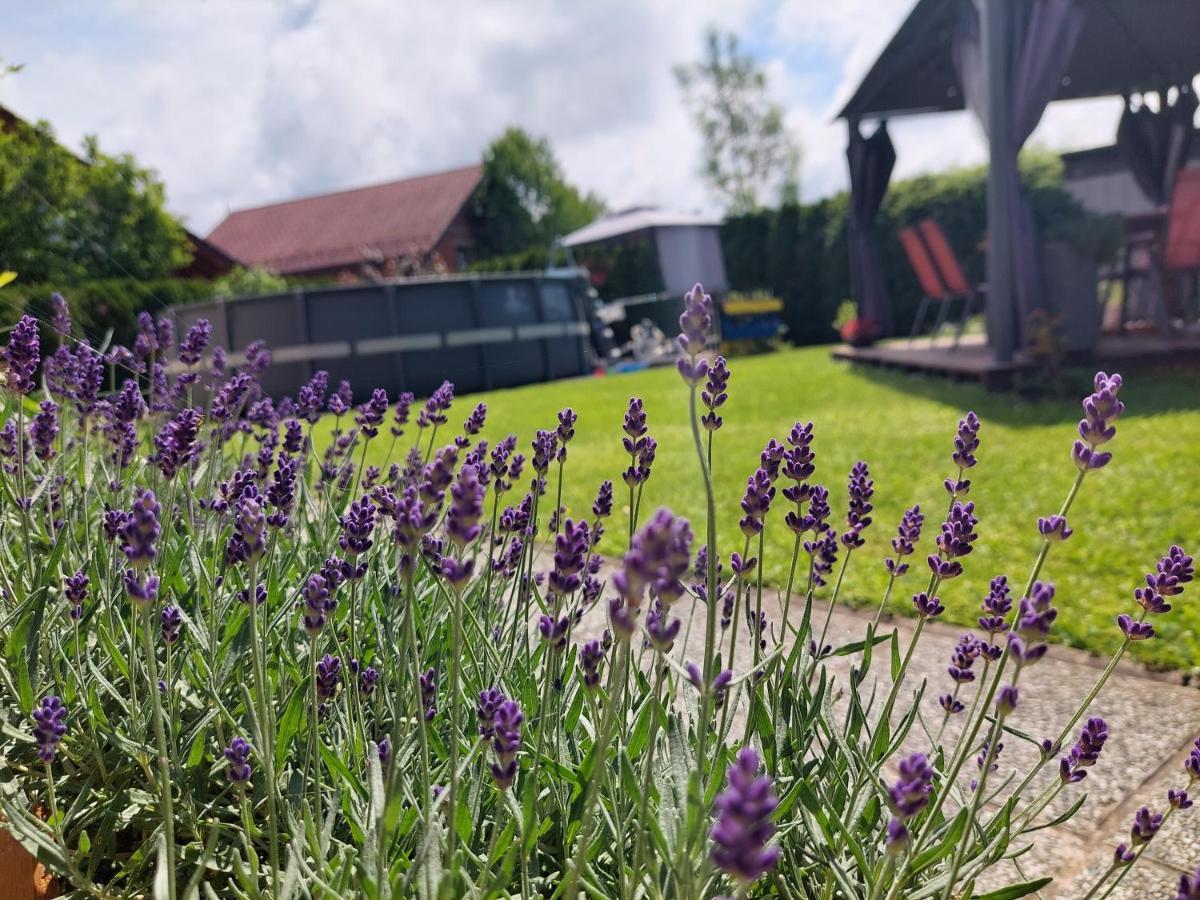 Apartma Zirovnik Cerklje na Gorenjskem Luaran gambar