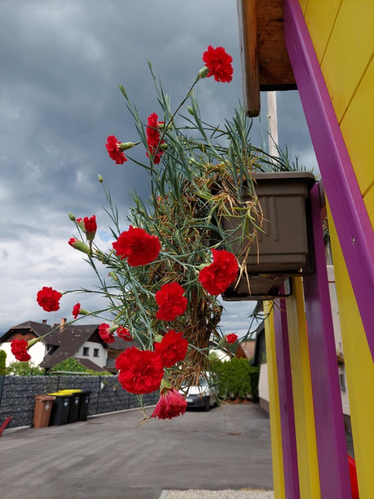 Apartma Zirovnik Cerklje na Gorenjskem Luaran gambar